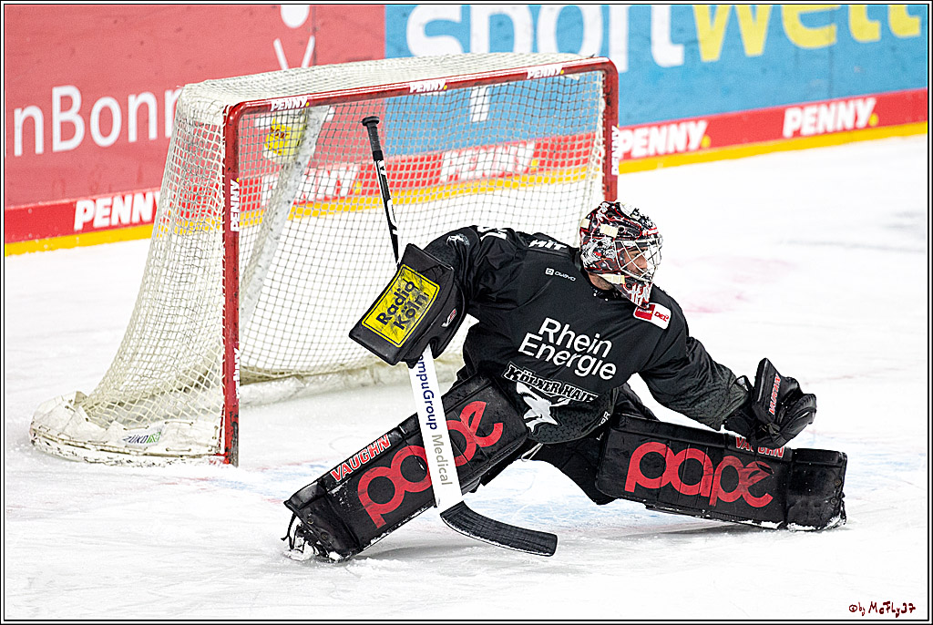 PENNY DEL;  Koelner Haie - Wolfsburg Grizzlys; Koeln, 17.03.2021